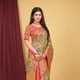 Chiku__Royal Rajgharana Sarees